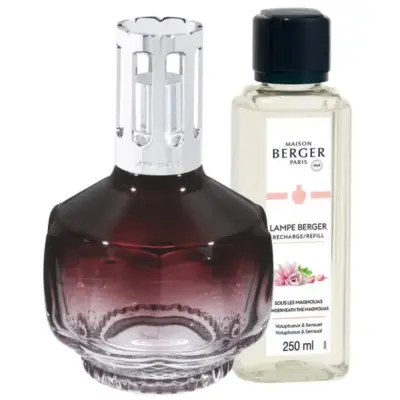 Cofre lámpara Catalítica Molécule Prune