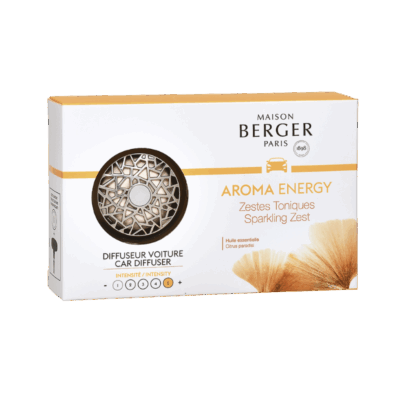 Recarga coche Energy  X2