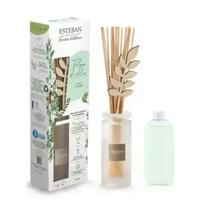 Mikado Fleur d'Aloe