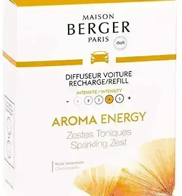 Recarga coche Energy  X2