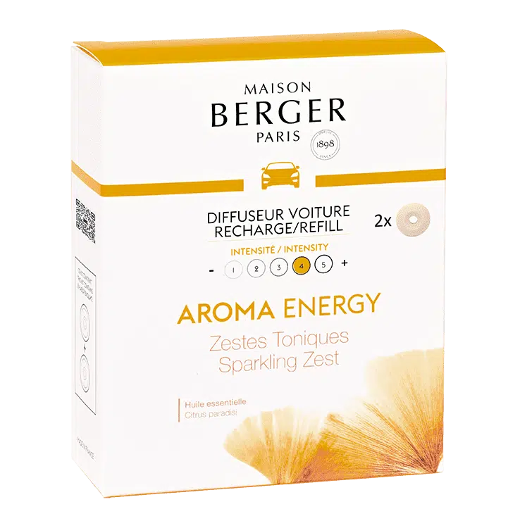 Recarga coche Energy