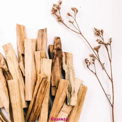 Palo Santo: Madera Sagrada para la Armonía y Bienestar