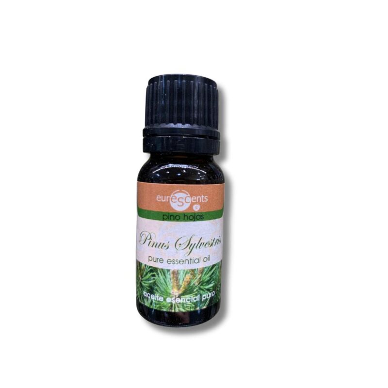Aceite esencial puro Pino hojas
